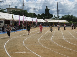 2011[B