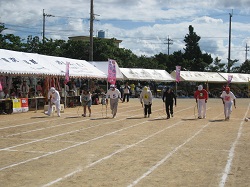 2011[D