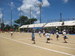 2012ߑOL