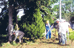 Placeholder image